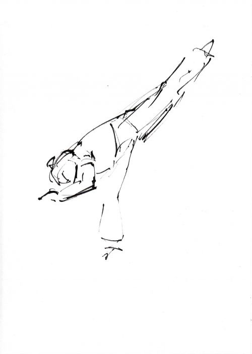 Capoeira 12<br><small></small>